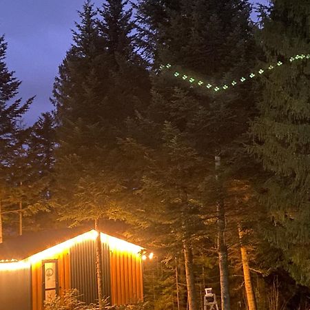 Aparthotel Феєрія Лісу Skhidnytsia Exterior foto